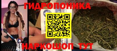 индика Бузулук