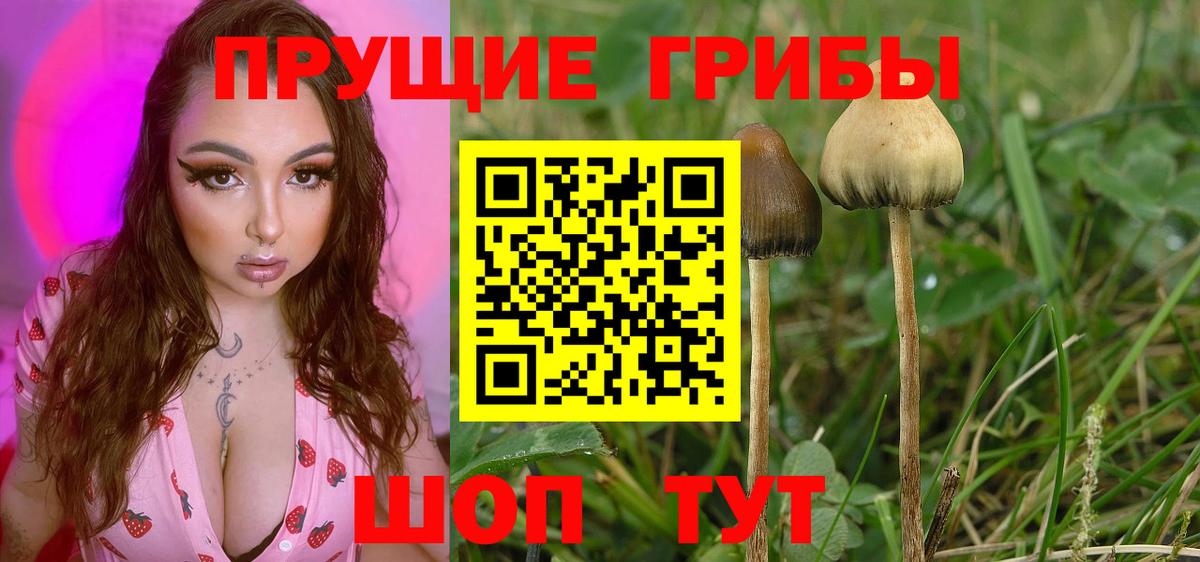 Галлюциногенные грибы ЛСД  Вход с VPN  Нурлат 